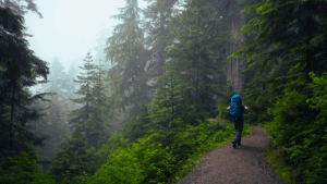 Bridging the strategy gap: A survival guide for overwhelmed solo marketers